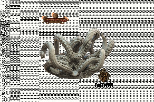 Kraken 25 at