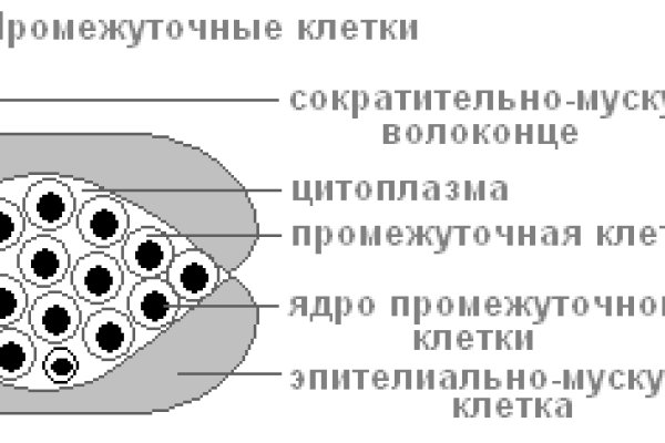 Где найти рабочую ссылку кракен