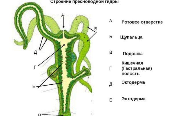 Новый адрес кракен