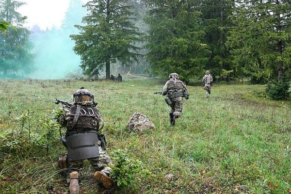 Ссылка на кракен в тор браузере