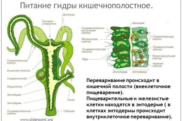 Оригинальная ссылка на магазин кракен