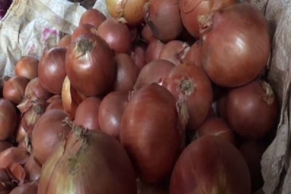 Актуальные ссылки на кракен тор