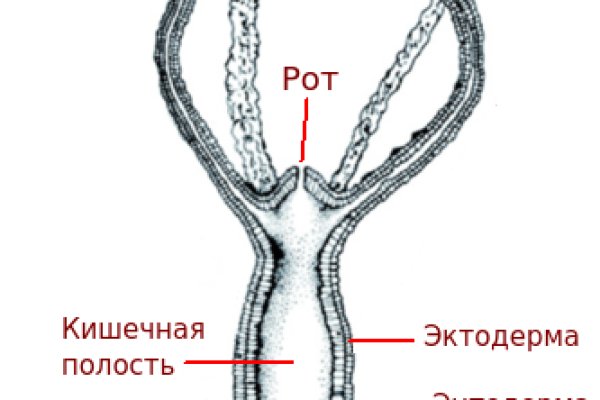 Регистрация на kraken com